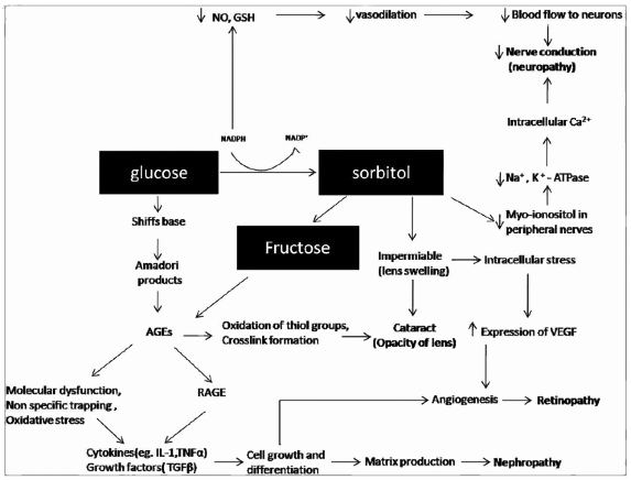 Flow diagram