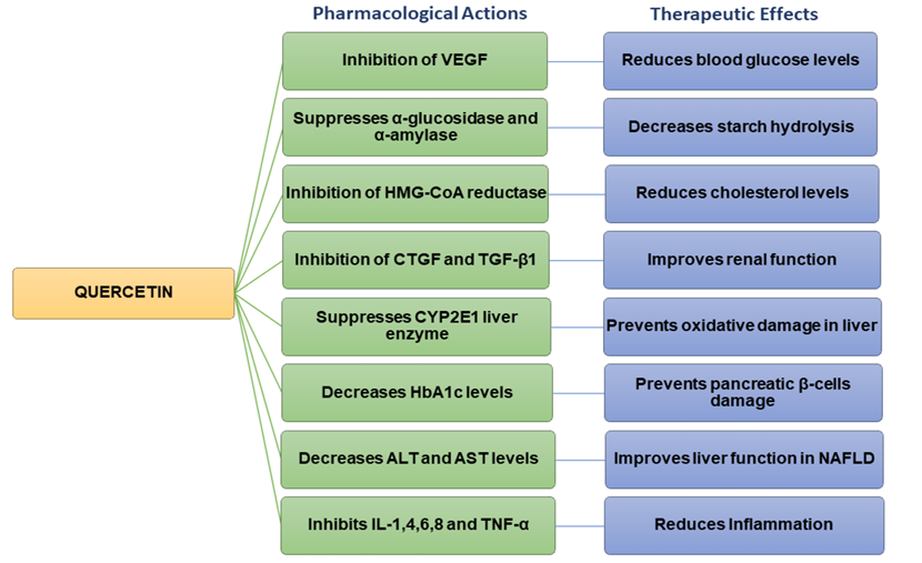 Quercetin Image 2