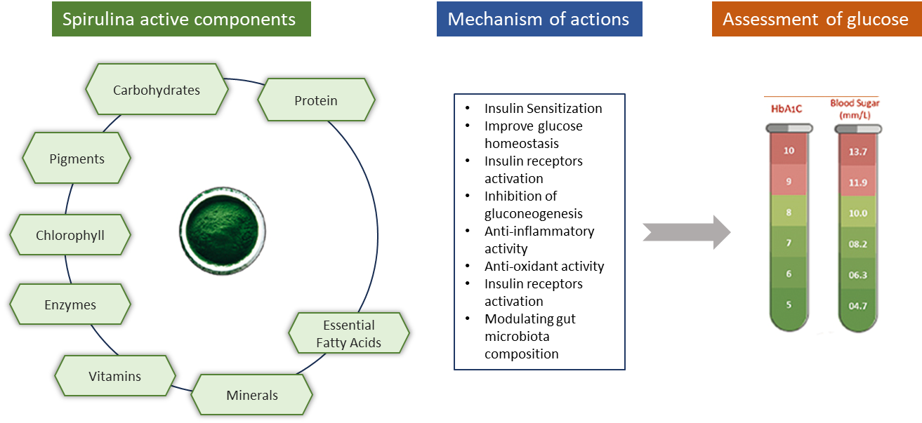 Spirulina Image 2